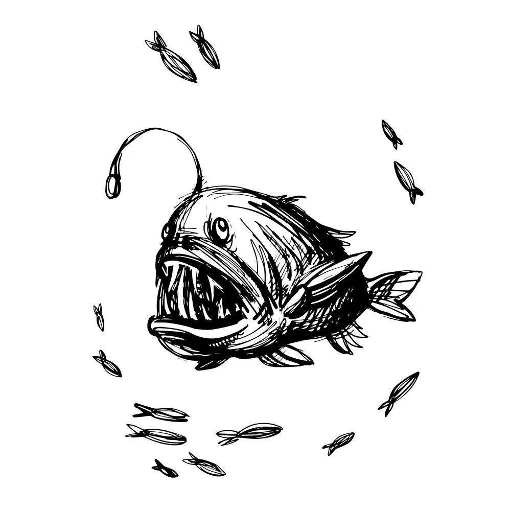 蛤蟆鱼简笔画图片