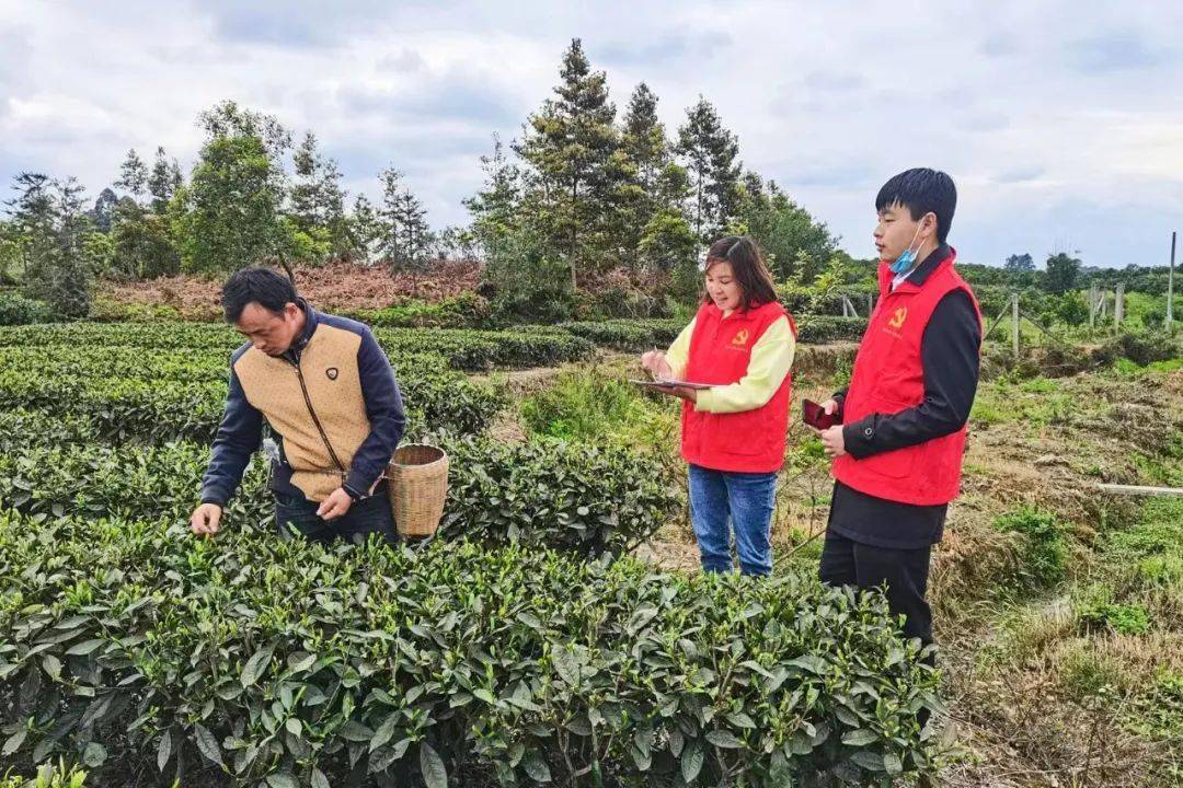 从"心"出发 扎根基层 | 市城管委10名选调生乡村追梦 踔厉奋发启新程