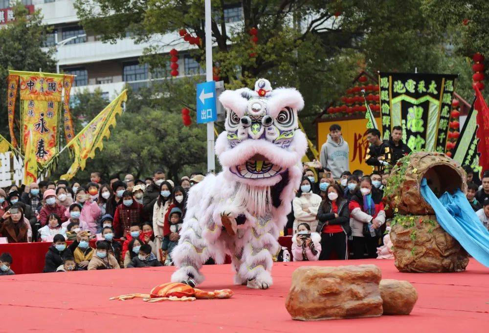 定了！肇庆广府文化庙会来了！