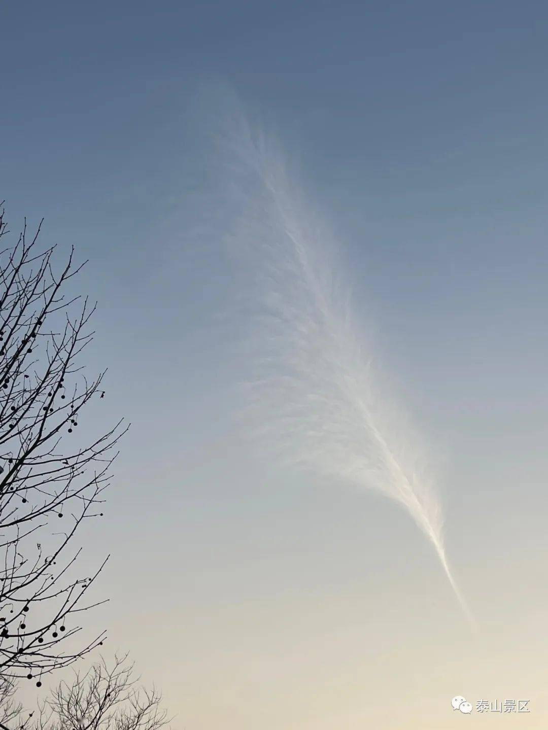 泰山脚下惊现羽状毛卷云_白色_冰晶_结构