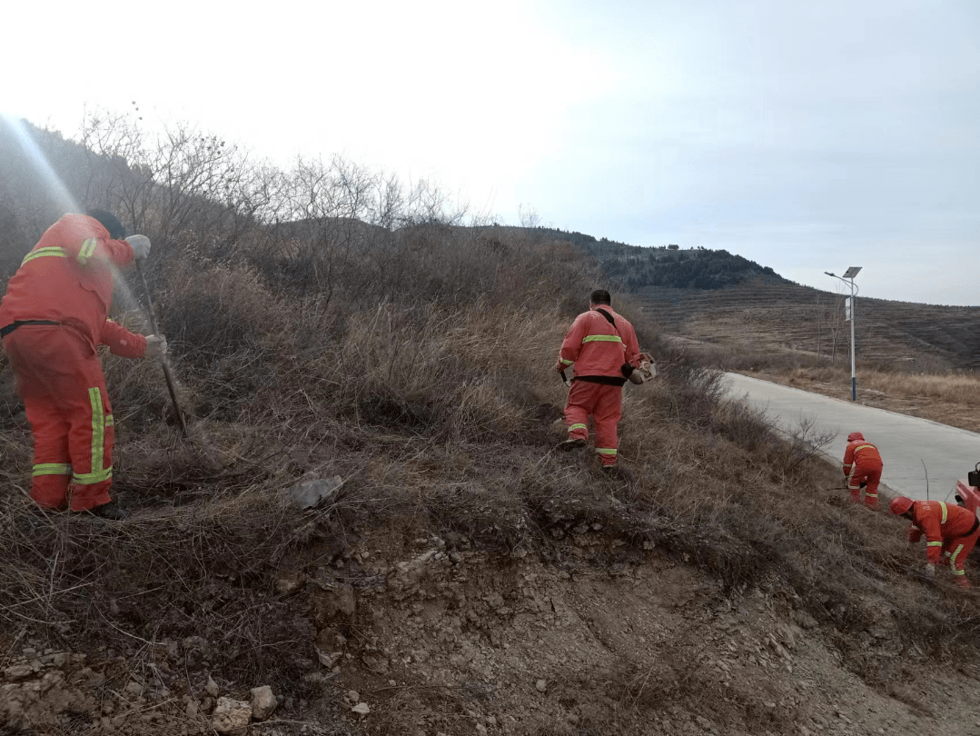 【森林防火】打造防火隔离带 守护森林生命线_工作_街道_火势
