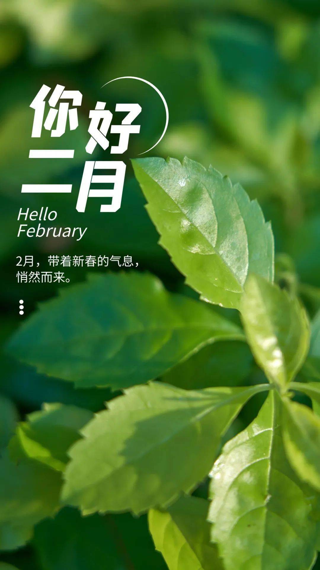 2月1日早安图片大全图片