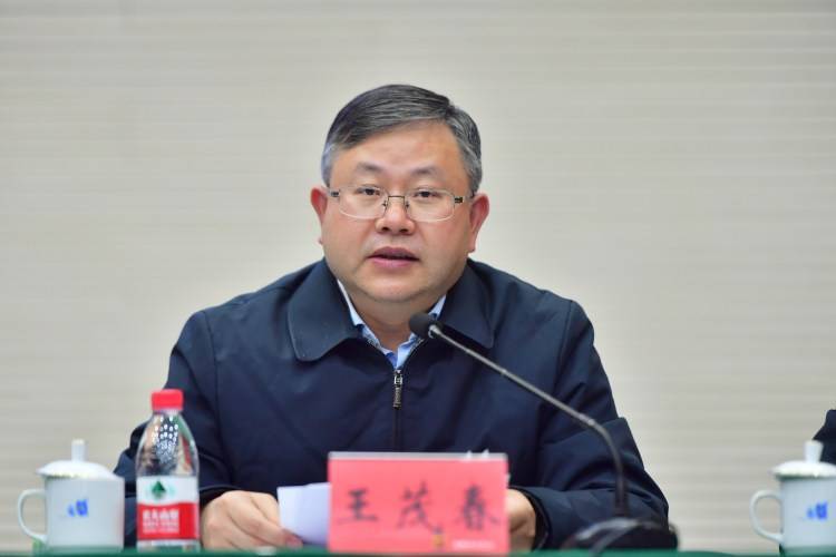 "南岸区区长王茂春底气十足地说,将全面加速产业领域"引强培优",持续