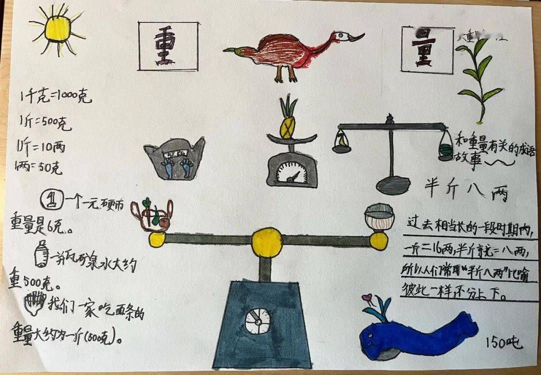 畅游数学之海 体验快乐时光_生活_实践_年级