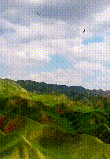 360_518竖版 竖屏gif 动态图 动图