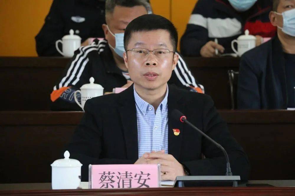 南安市委常委,统战部部长蔡清安出席会议,镇党政领导班子成员,镇机关