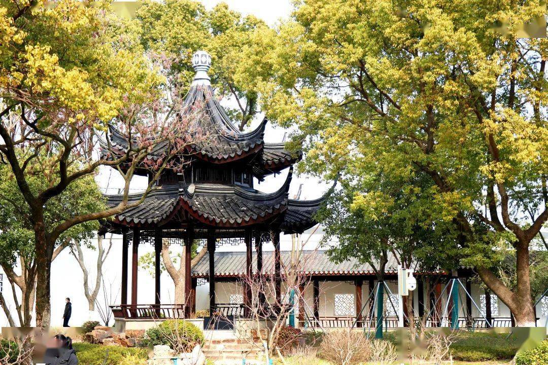 扮"靓"历史文化,少卿苑全新开园!_公园_千灯镇_改造