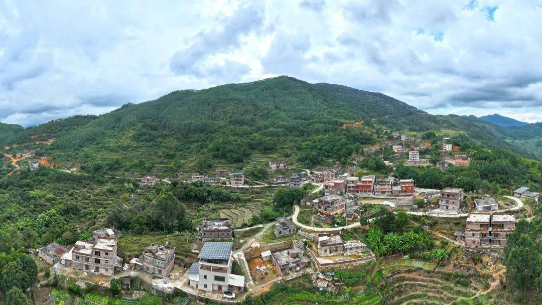 【喜讯】翔云镇头梅村获南安市"乡村振兴"先进集体称号_英都_建设_金