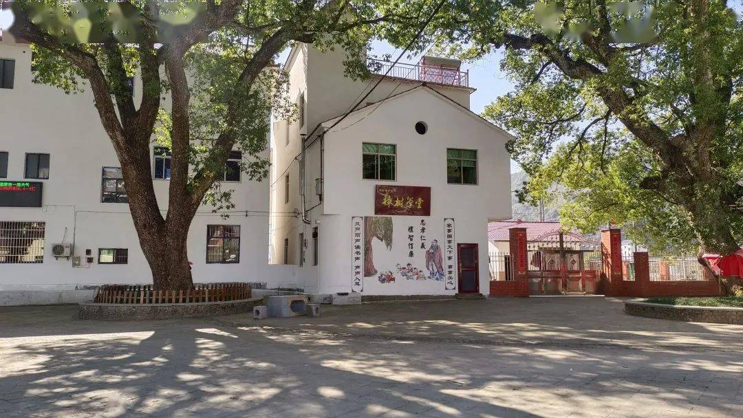 建德这个采摘小番茄的好地方,还有人不知道吗?_莲花镇_戴农富_游步道