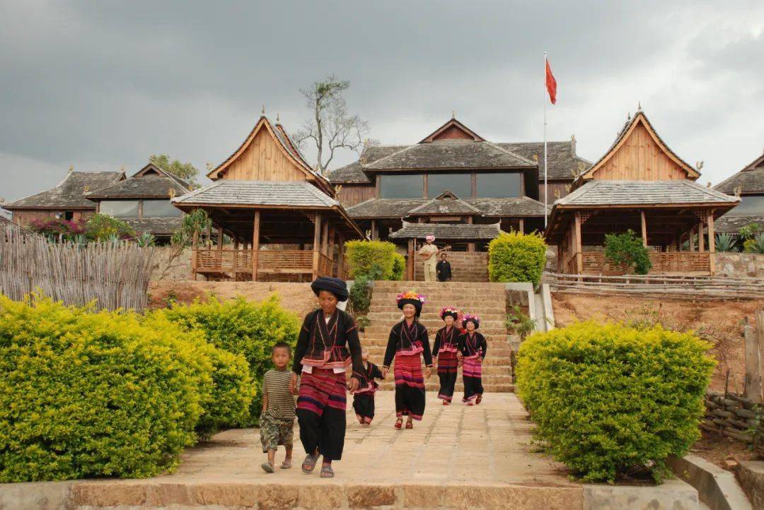 探索传承布朗族文化的新路子,章朗村"千年古茶树,千