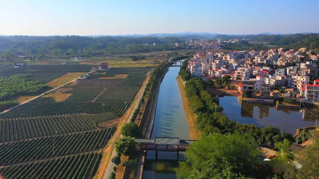 高州这个网红打卡点途径宝光,山美,南塘,曹江4个镇街_乡村_高车_示范