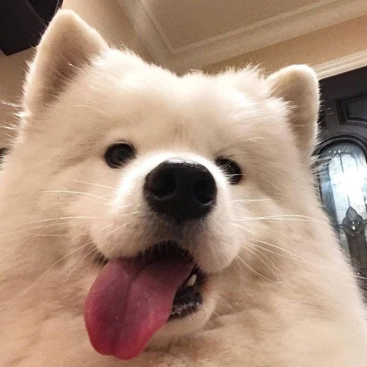 张明娟