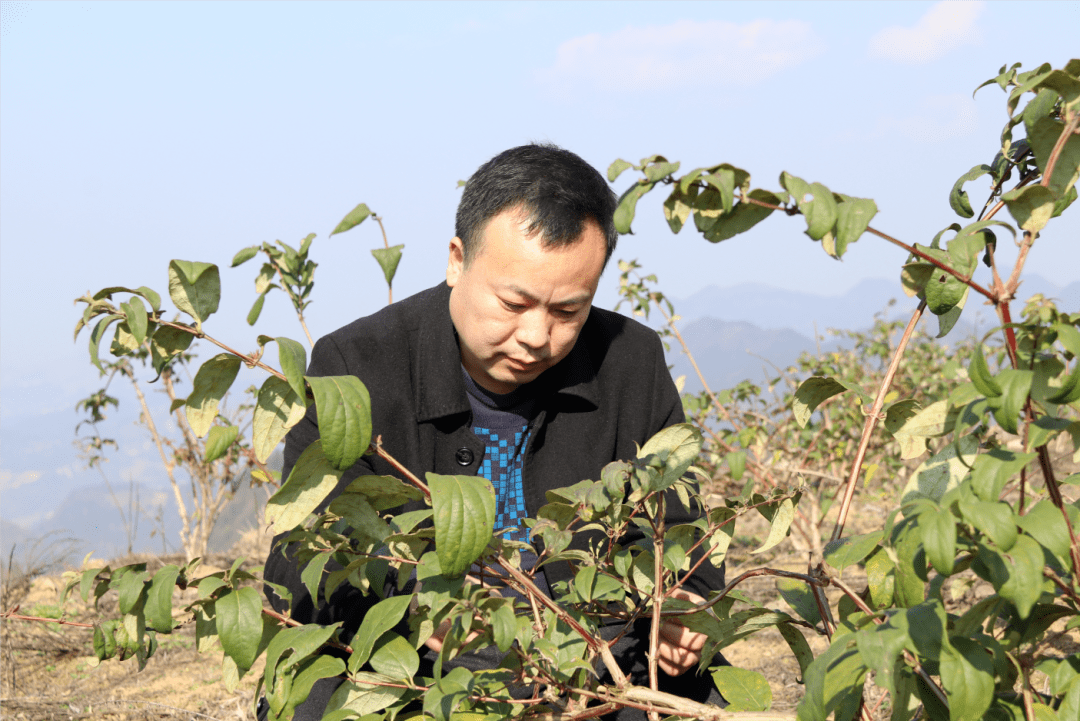 【深入学习贯彻党的二十大精神·"一把手访谈"】坪乐镇党委书记付文利