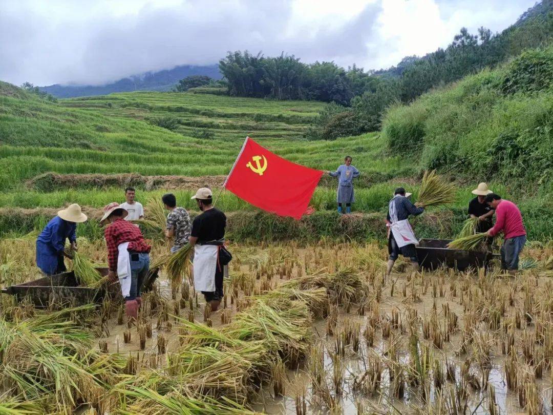 景谷县正兴镇景南村党总支部书记杨诤从最初报答乡里,到坚定信念带领