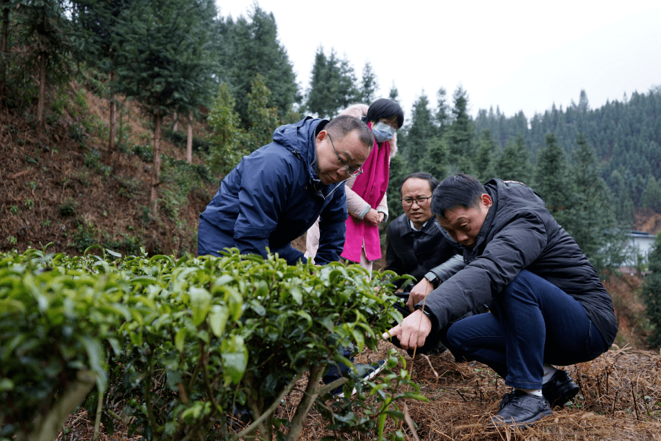 农业致富经_致富农业华为眉县那个支付秘抄_致富农业网