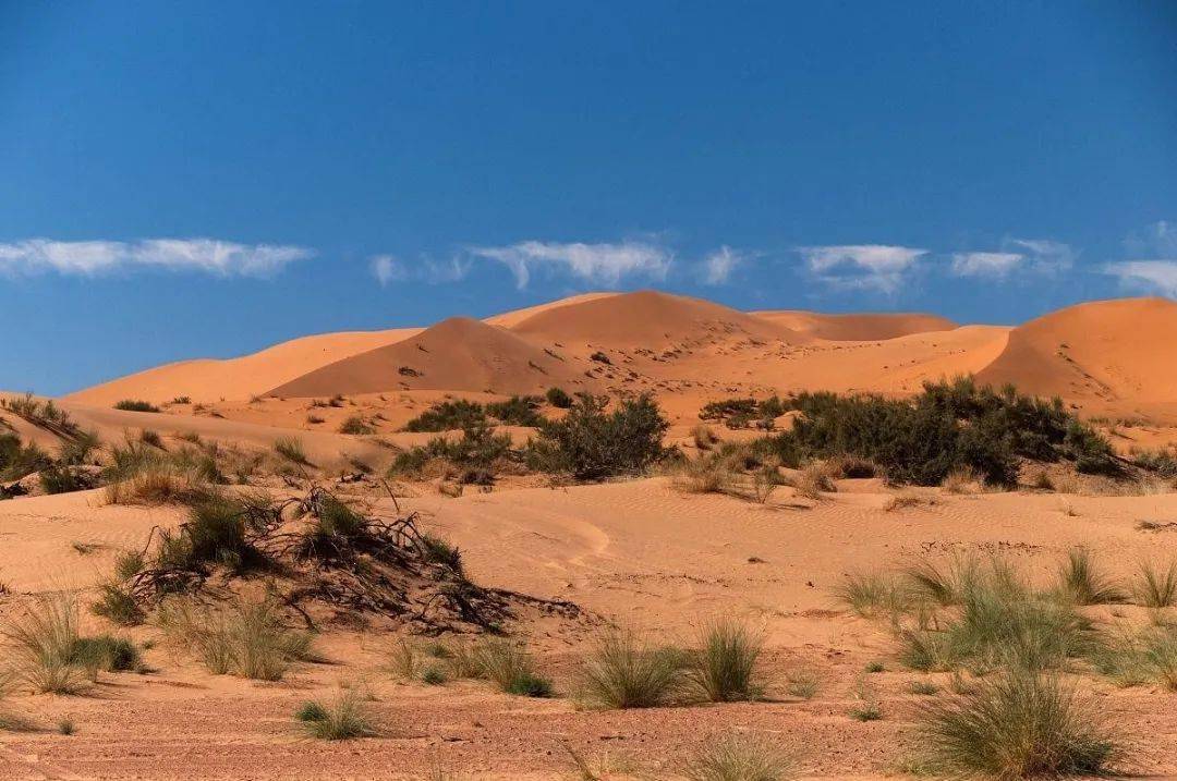 沙丘地貌形成过程图片