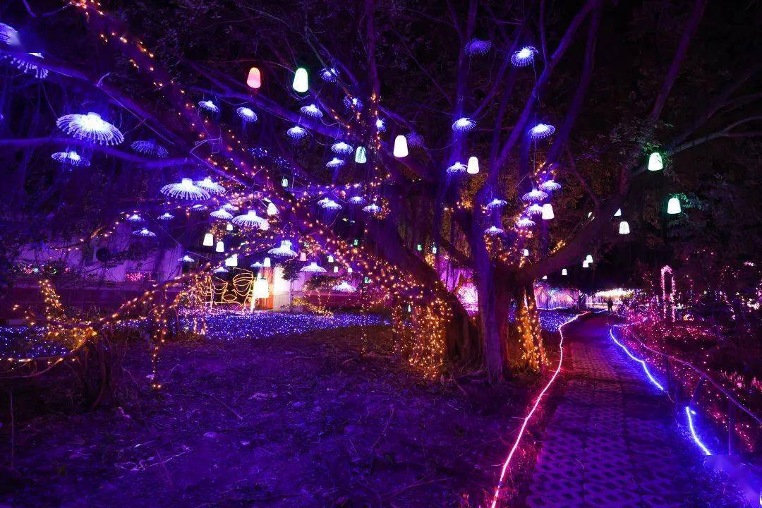 在这里带你到达一种充满无限感的世界异彩纷呈的光与影构建出一幕幕