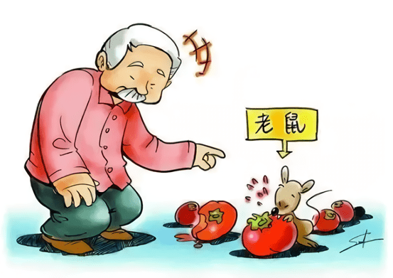 出血热高发季,肾综合征出血热疫苗我市可免费接种_消毒剂_鼠窝_老鼠