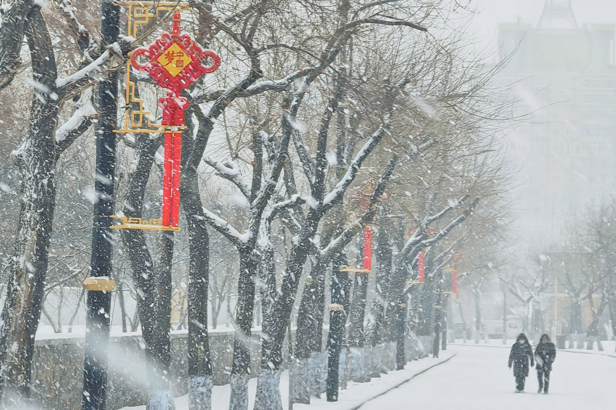 最美雪景-哈尔滨-中国雪谷穿越中国雪乡.冰雪之旅 - 哈尔滨游记攻略【携程攻略】