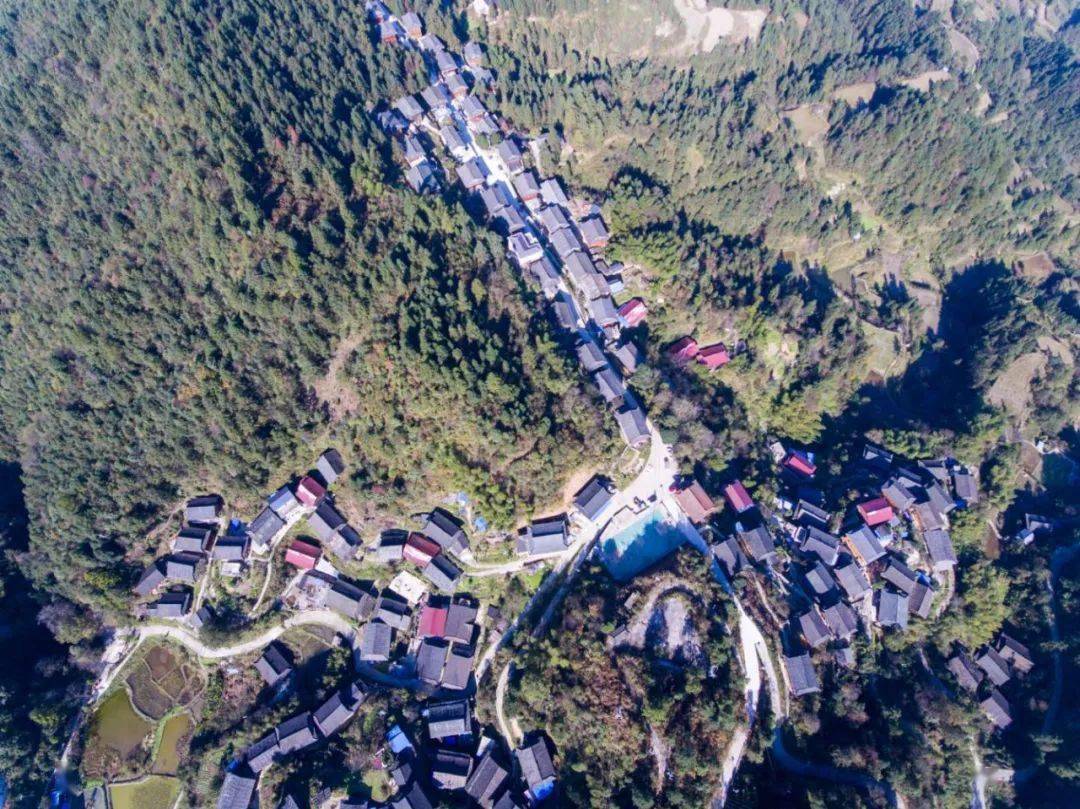 台江县南宫镇:落实春耕备耕 稳步推进粮食生产_种植_抗旱_优质稻