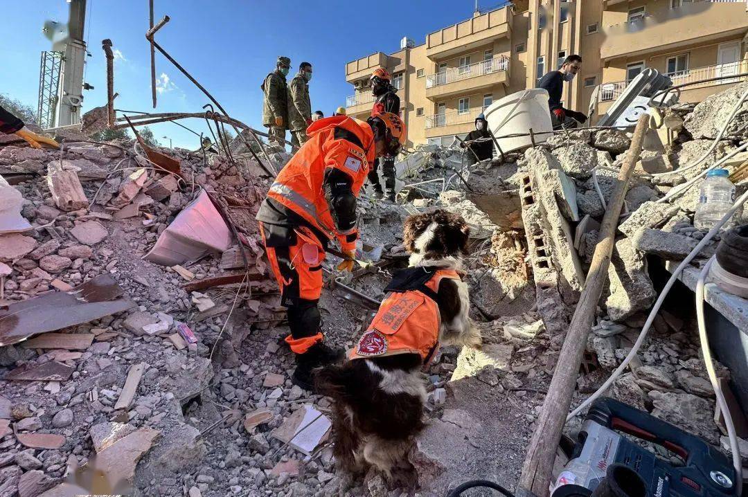 在阿塔伊市的废墟中搜寻到一名有生命体征的成年男子,这也是公羊救援