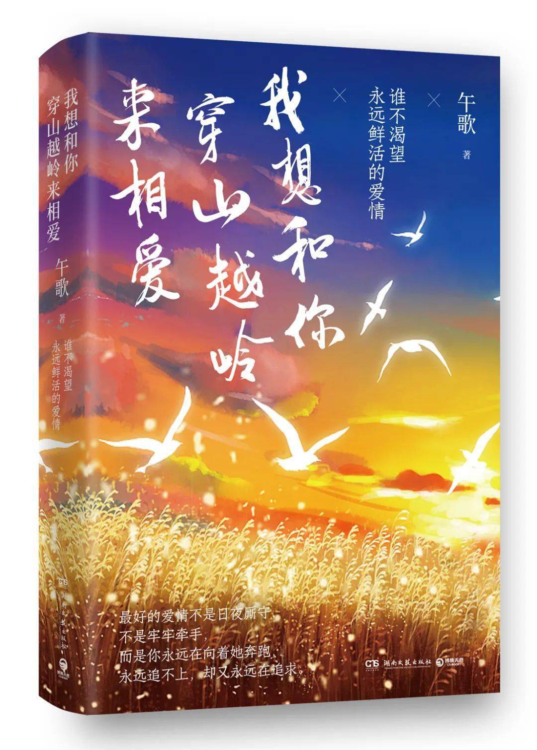 我想和你穿山越岭来相爱04百万畅销青春作家简蔓继《我曾记得那男孩》