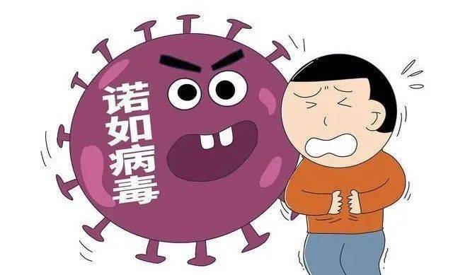 【提醒】诺如病毒进入高发期 加强个人防护是关键_传播_症状_食物