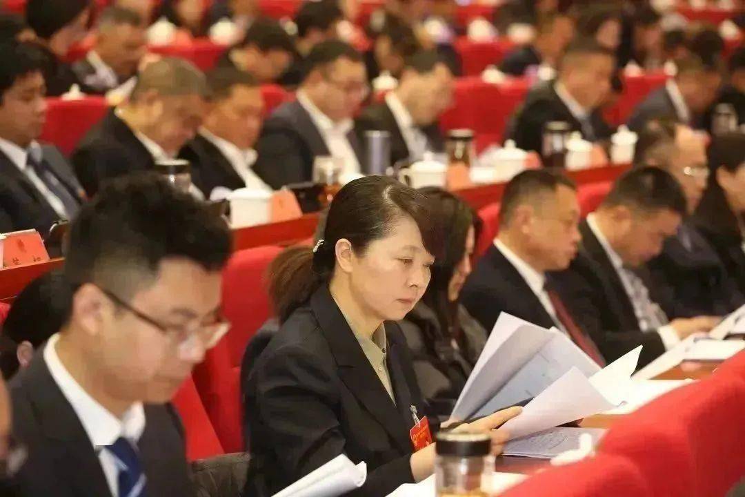 邛崃市第十九届人民代表大会第三次会议开幕 刘刚肖瑶出席 王德彰作