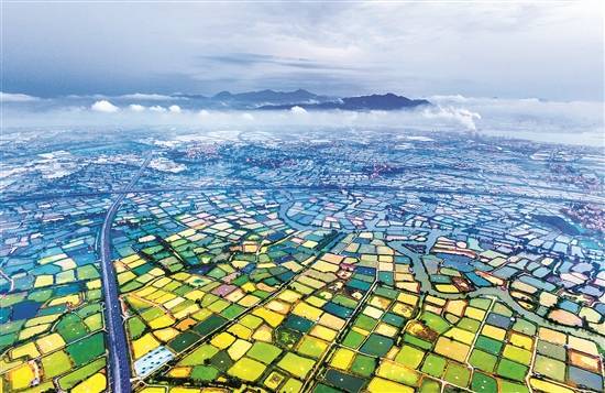 全域土地整治"一张图 支撑高质量发展"百千万"_建设_广东省_用地