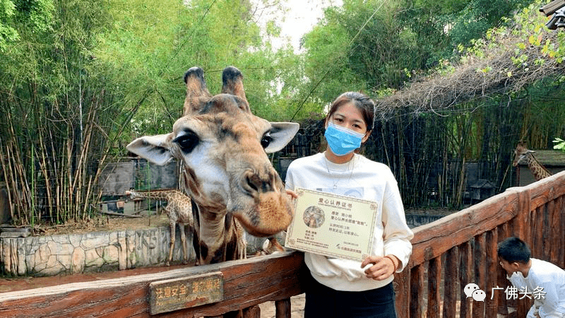 佛山火车站“辞别”春运后，有新意向；去香港旅游有福利，先领消费券...丨听佛山