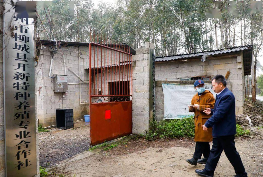 广东人特别喜欢!_养殖_严宗福_鹧鸪