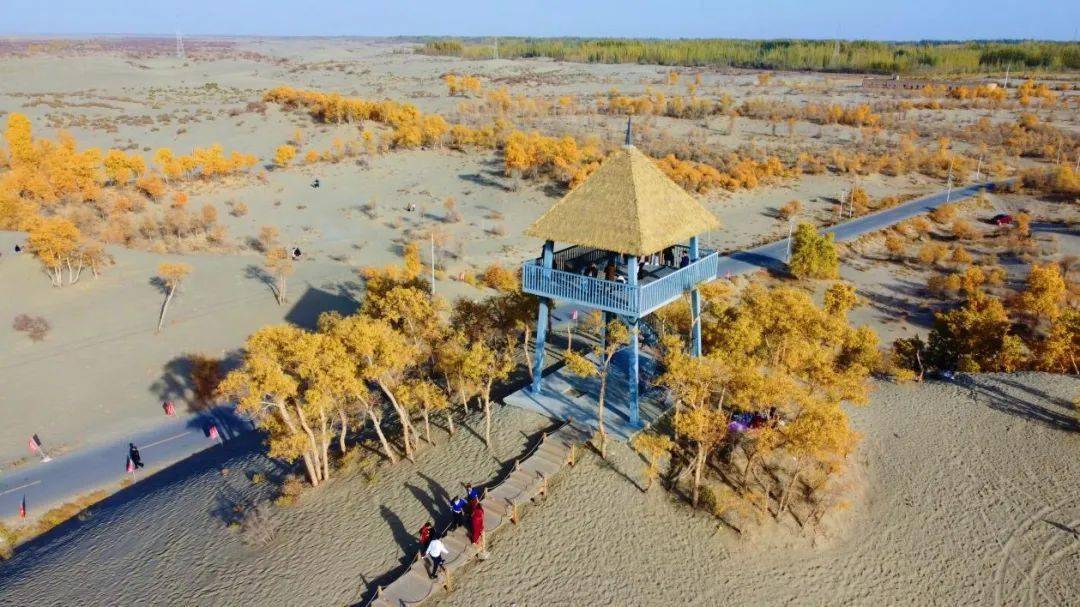 01 麦盖提n39°沙漠探险基地麦盖提县是我国沙漠旅游资源最丰富的地方