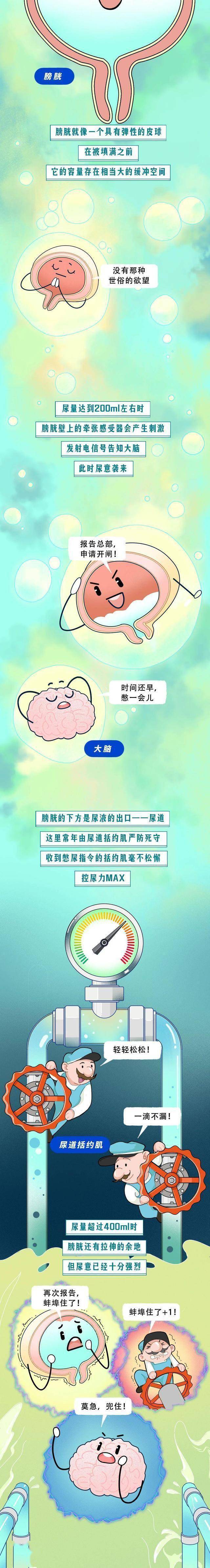 汉子没事别“憋尿”？漫画告诉你谜底，那可不是小事