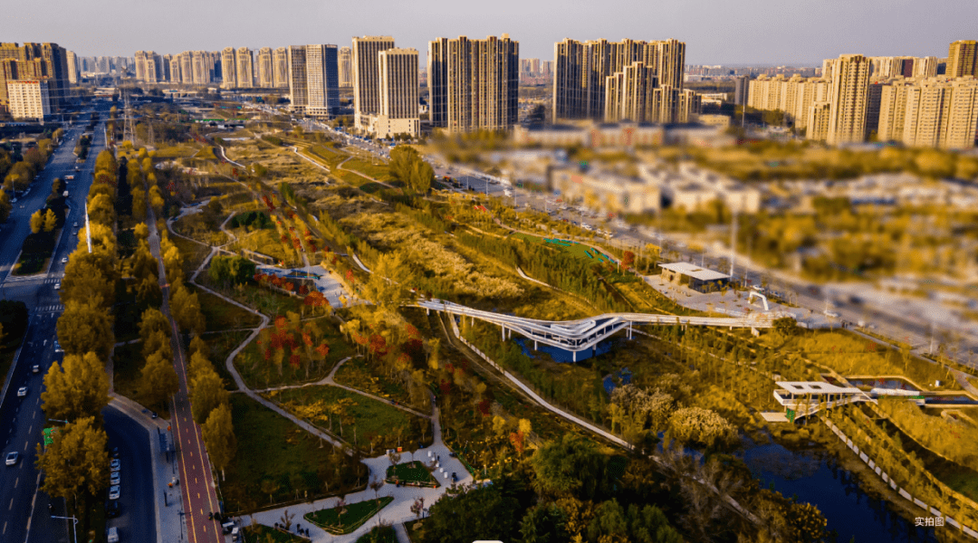 金水_项目_核心