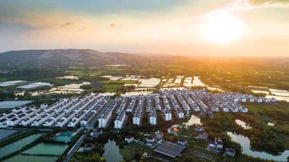 林城镇代表在行动 | 履职为民15年,带"旺"乡村致富路_汪海浪_发展_北