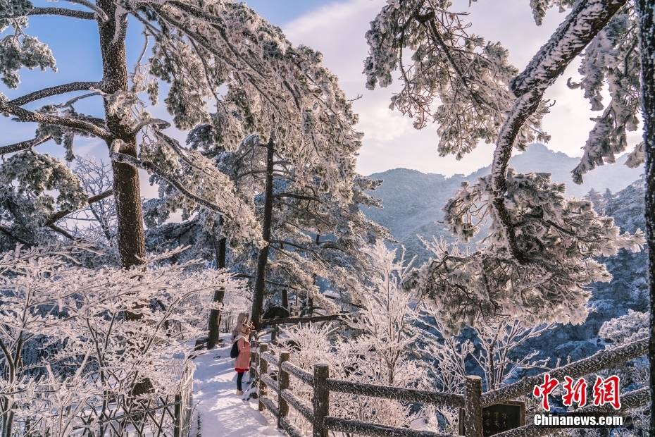 文明的坐标｜黄山：五绝景不雅皆画卷