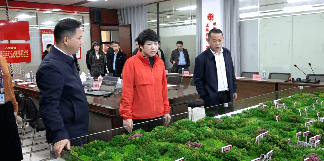 李红兰开展第三产业企业调研工作_江州区_项目_建设