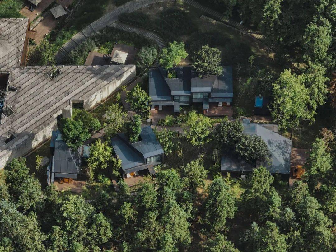 森林之内,禅茶文化胜地,这间小众疗愈系酒店就在杭城_治愈_风物_杭州