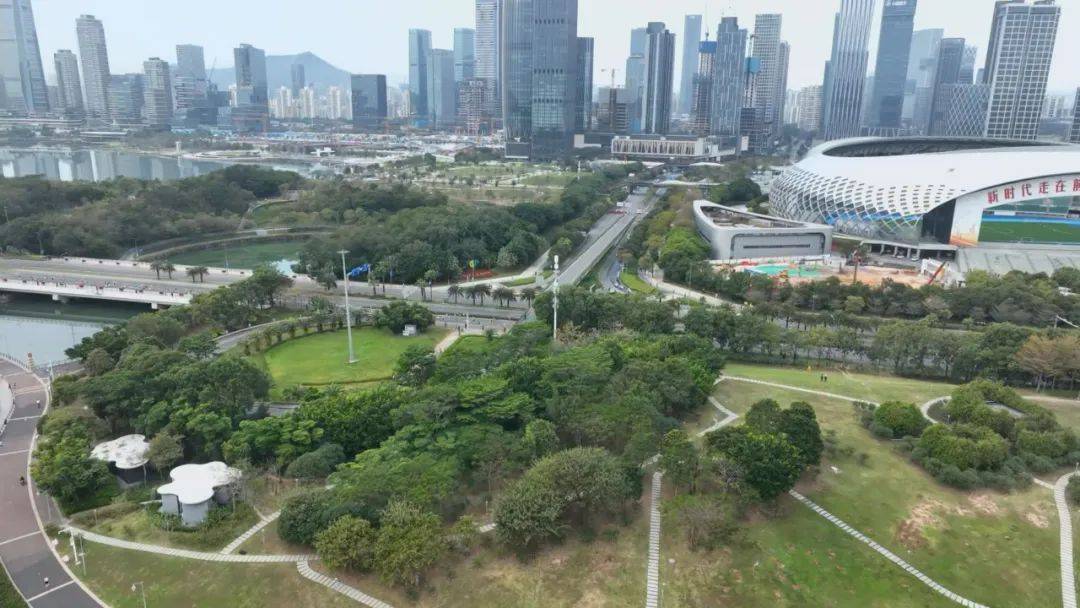 深圳跑起来！深马降生首个中国选手冠军！