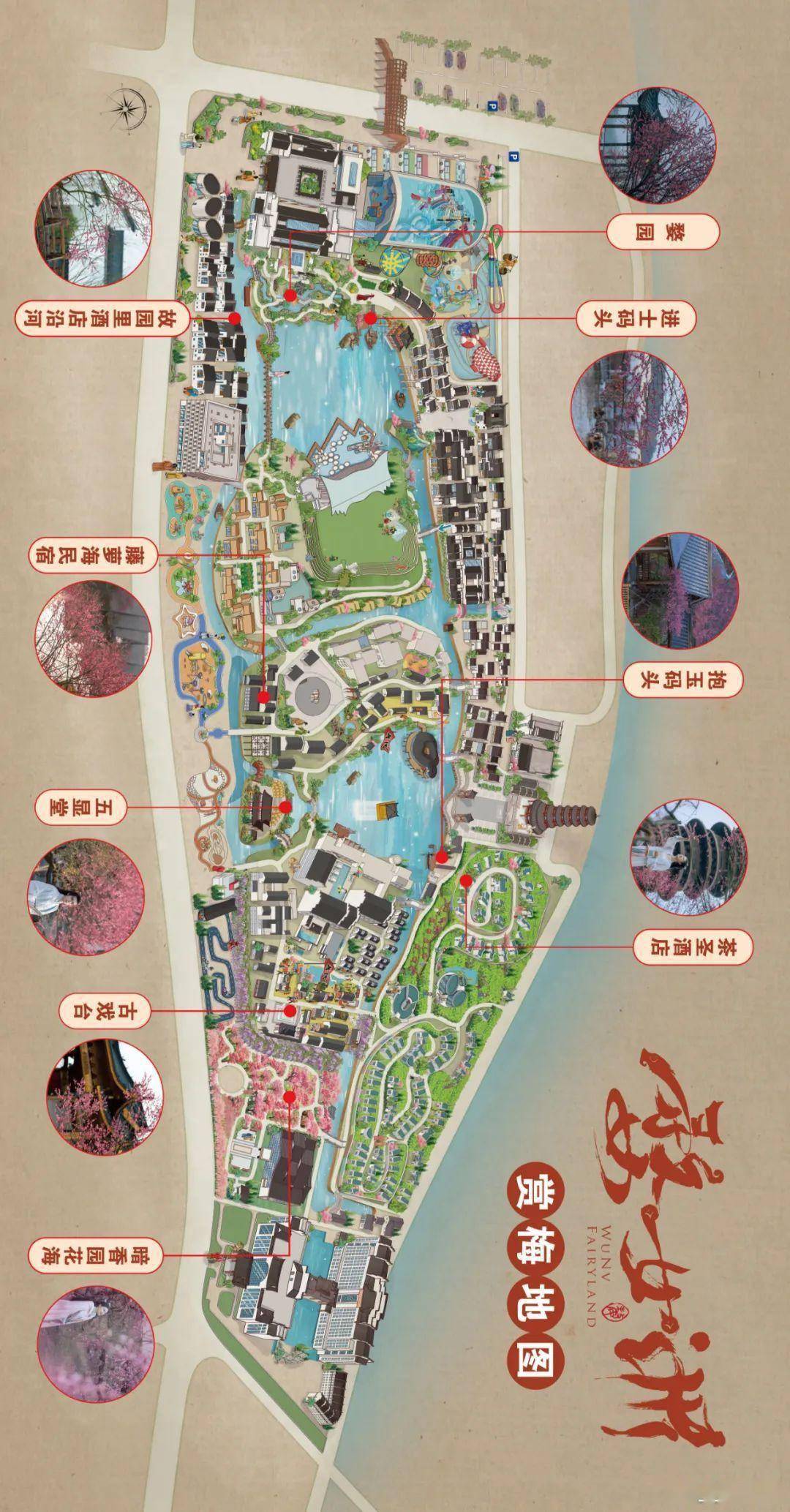 梅花_葛仙村_红梅