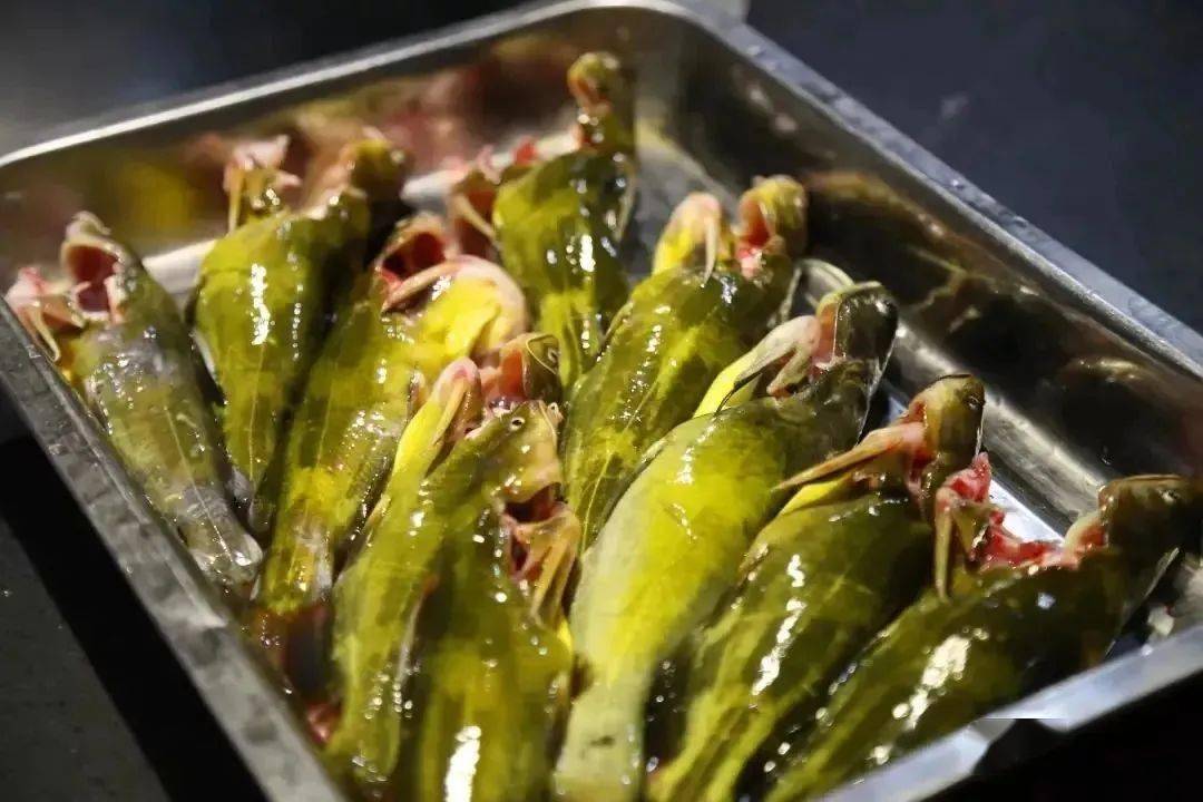 鱼现点现杀,有七星麻鱼,七头黄,黄辣丁,鲢鱼等.