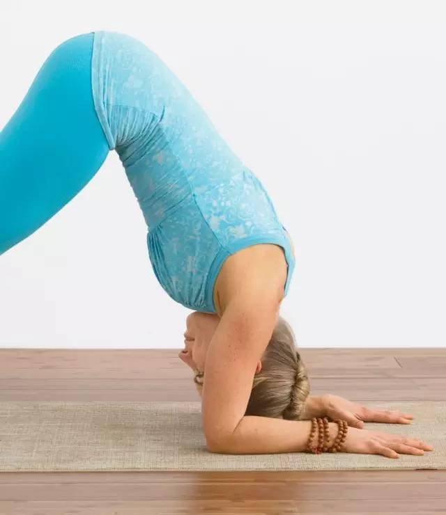 瑜伽海豚式做过没?好万能的体式!_地面_双肩_身体