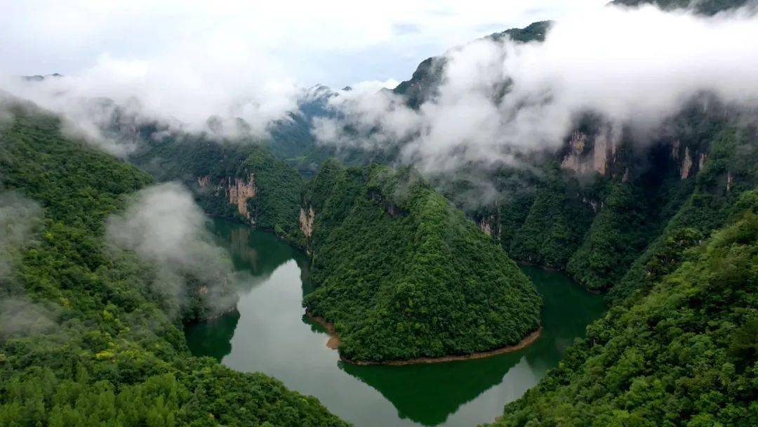 远安县嫘祖镇:250名生态护林员呵护长江大保护"绿色屏障"_巡护_沈朝