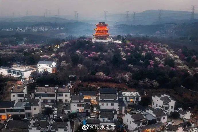 值此青绿，“植”此青绿……