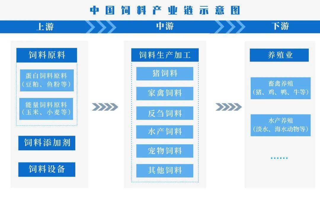 饲料产业链图片