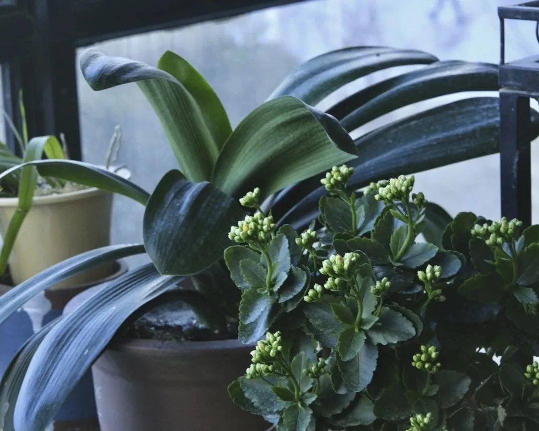 带着_香味_学子