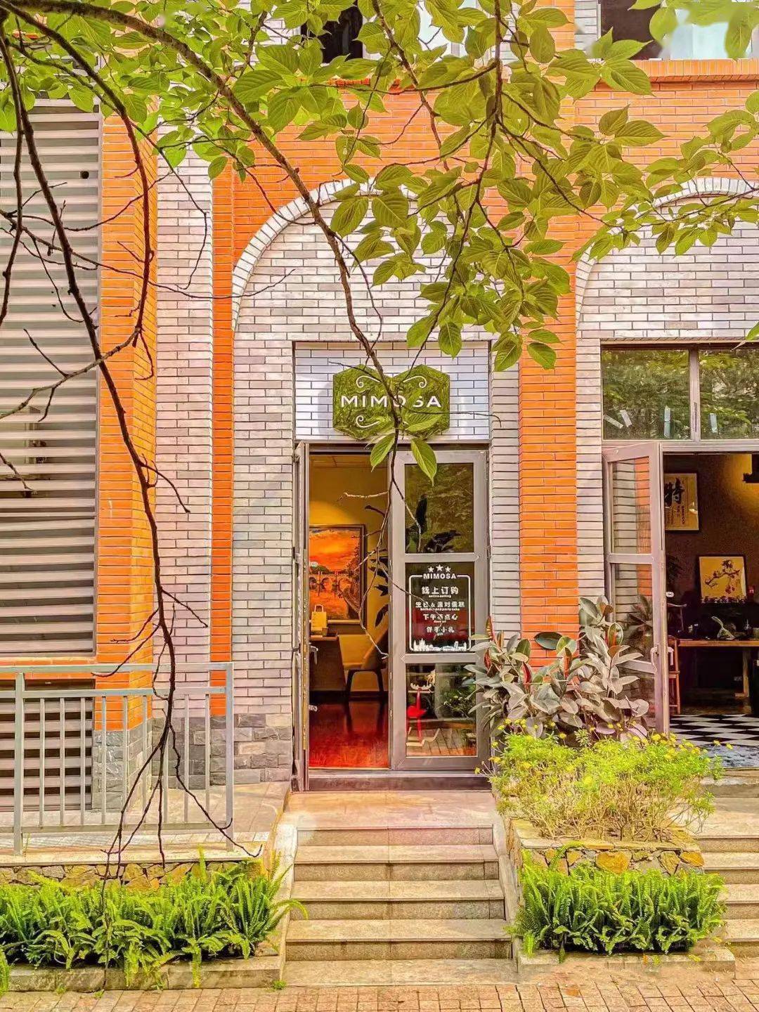 mimosa02代金券1张:0689(原价06100)红酒桂圆核桃欧包1份:0619.