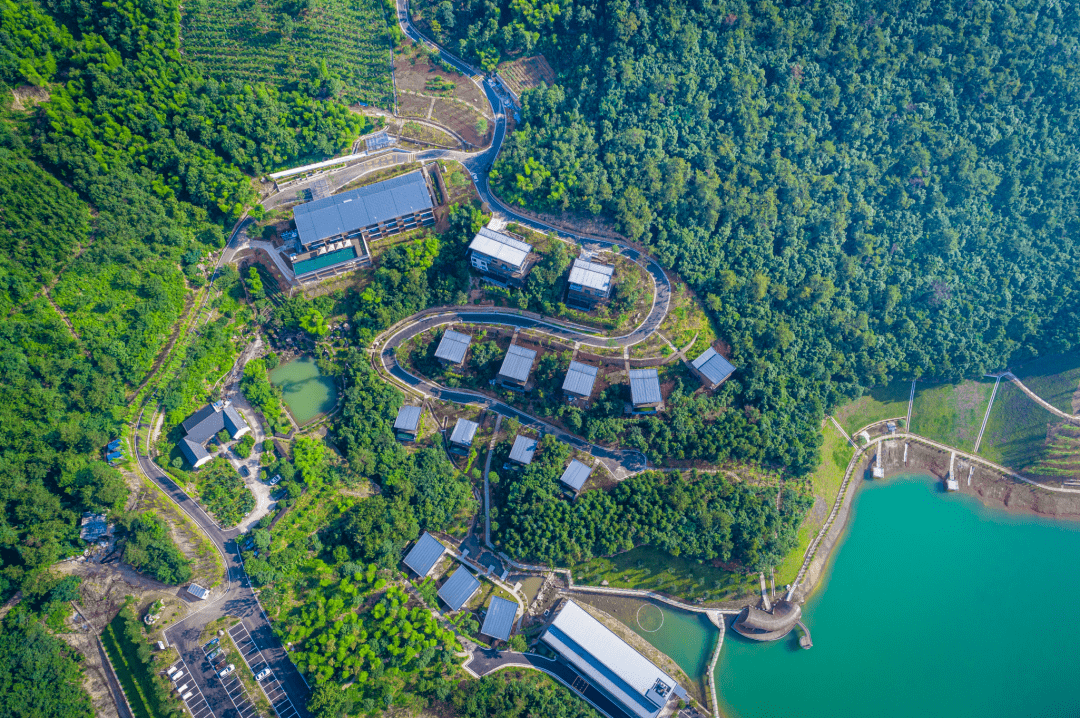 周末不加价！人均300住进避世小寡秘境，山川竹林、丛林树屋、悬浮泳池，碰见心中的静谧之地！