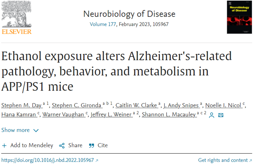 Neurobiol Dis：酒精摄入与阿尔茨海默病的加速产生有关