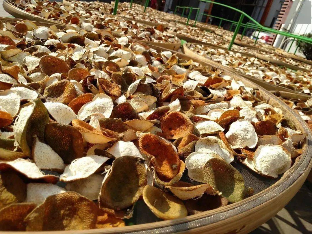 一问医答|"狂飙"的陈皮_新会_广东省_中医药学会